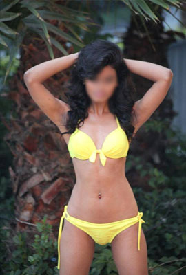 Jaipur escort providers
