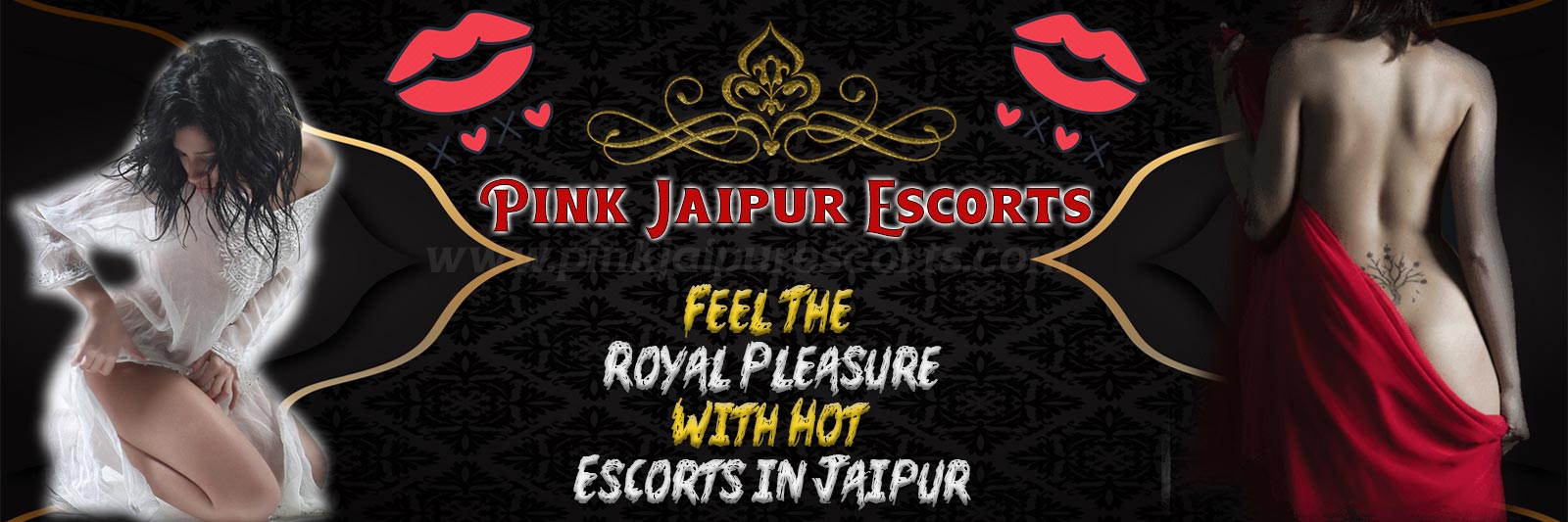 Jaipur Escorts Services